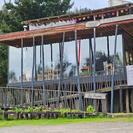 Lodge Los Bosques 马坦萨斯 外观 照片