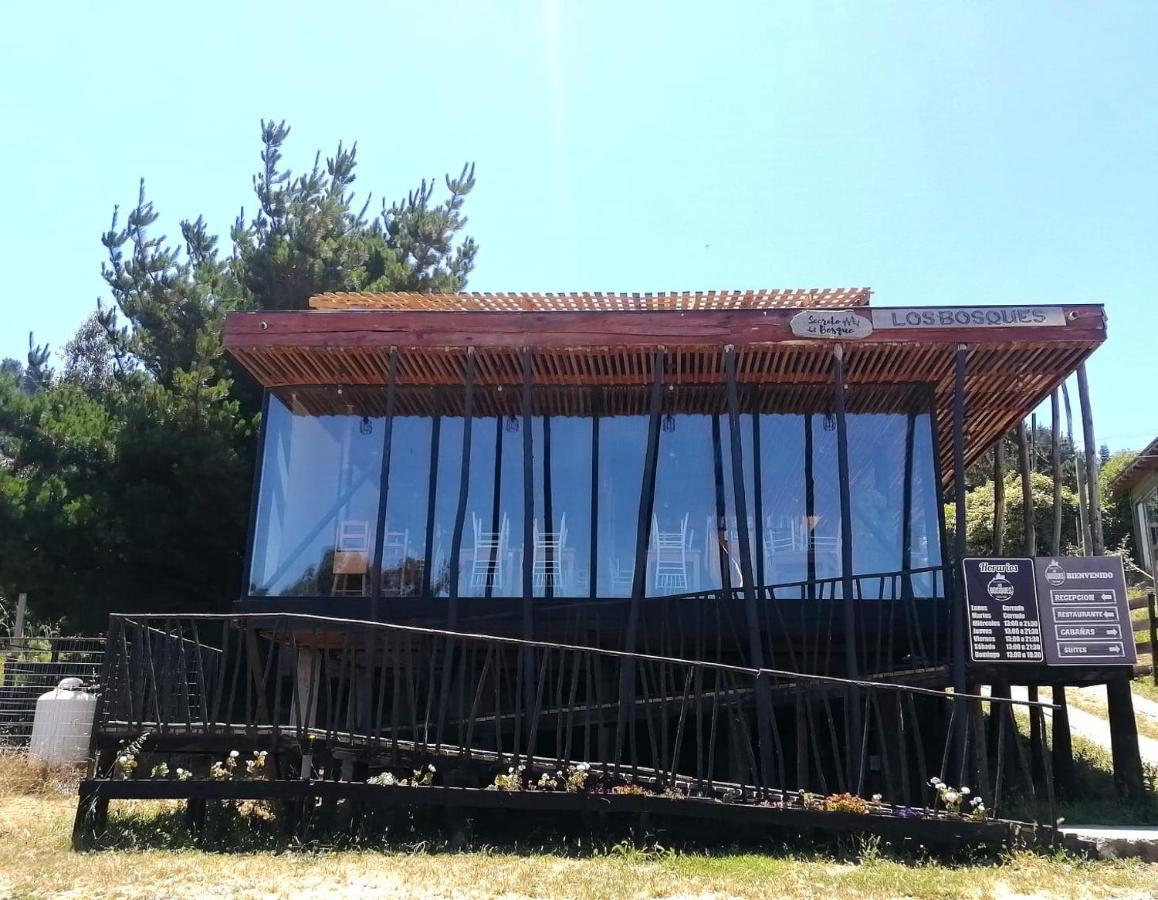 Lodge Los Bosques 马坦萨斯 外观 照片