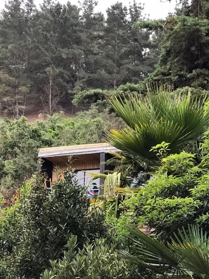 Lodge Los Bosques 马坦萨斯 外观 照片